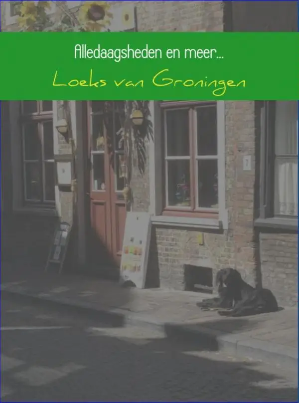 Alledaagsheden en meer...