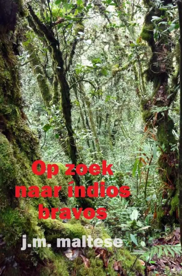 Op zoek naar indios bravos