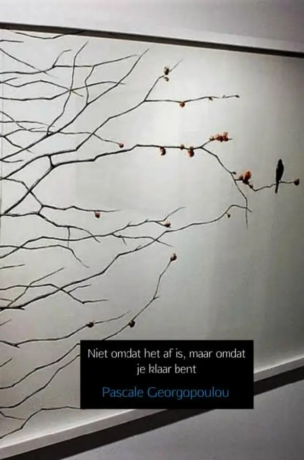 Niet omdat het af is, maar omdat je klaa