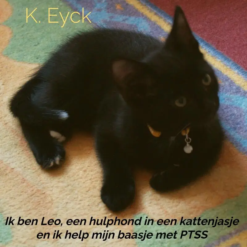 Ik ben Leo, een hulphond in een kattenja