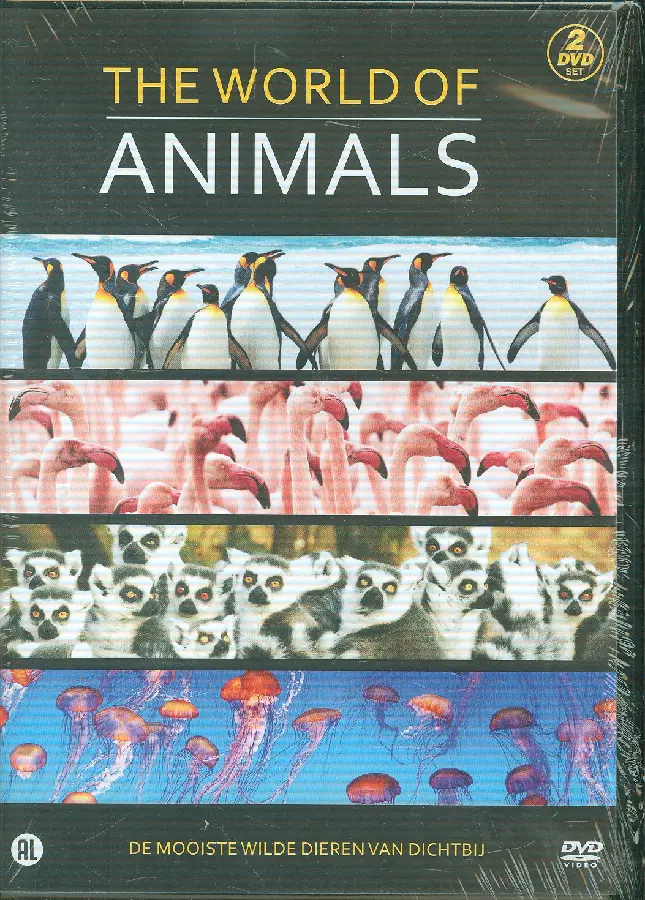 World of animals
