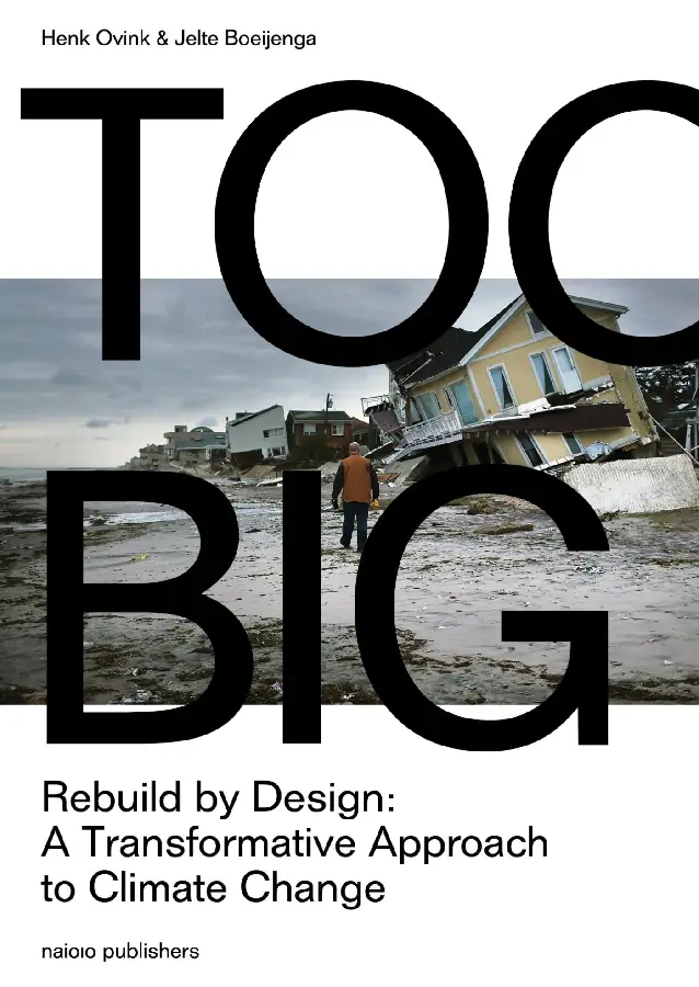 Too Big. Rebuild by Design's transformat