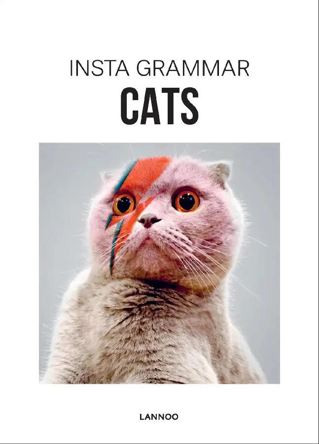 Insta Grammar - Cats (E-boek)