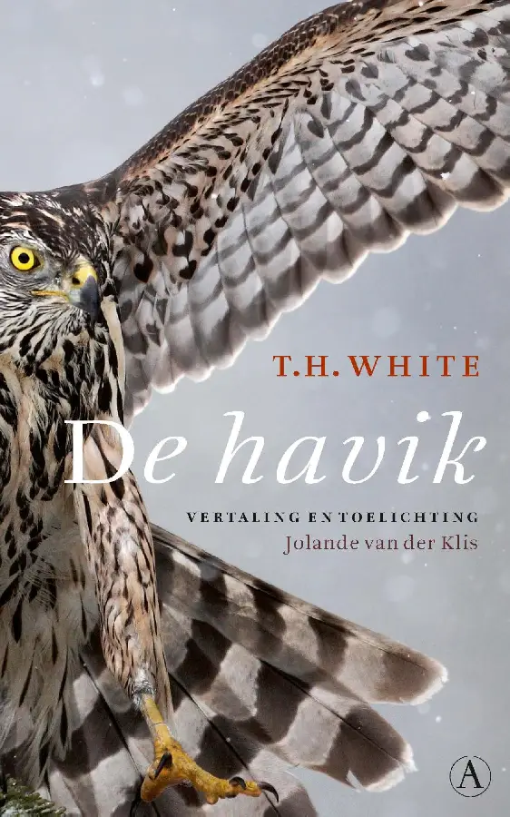 De havik