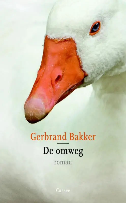 De omweg