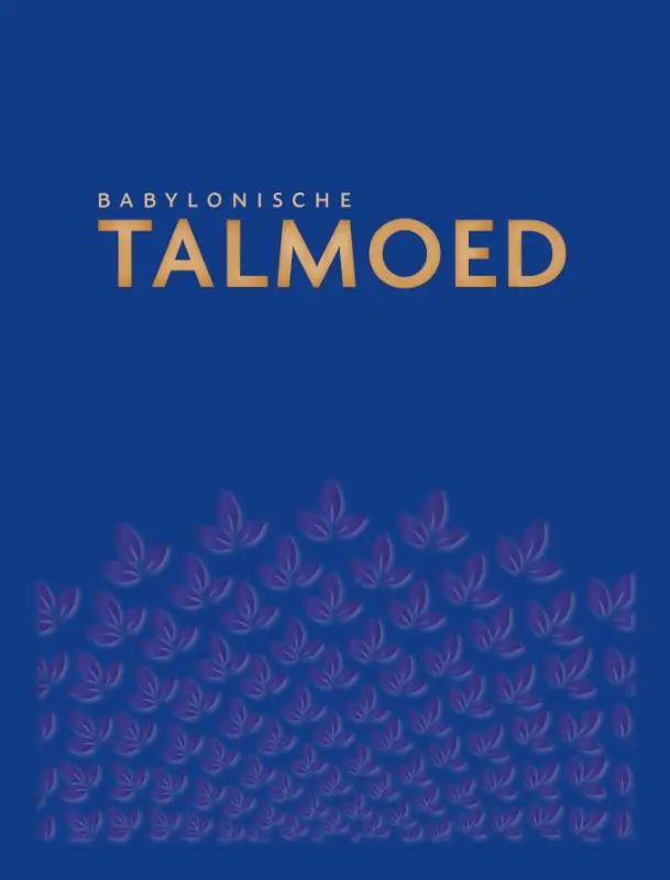 Traktaat sanhedrien band 2 hoofdstuk 3-6