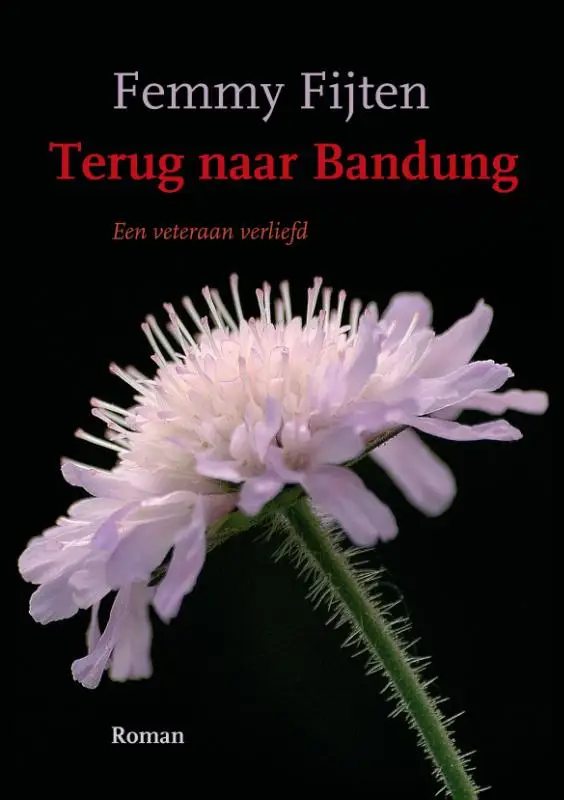 Terug naar bandung