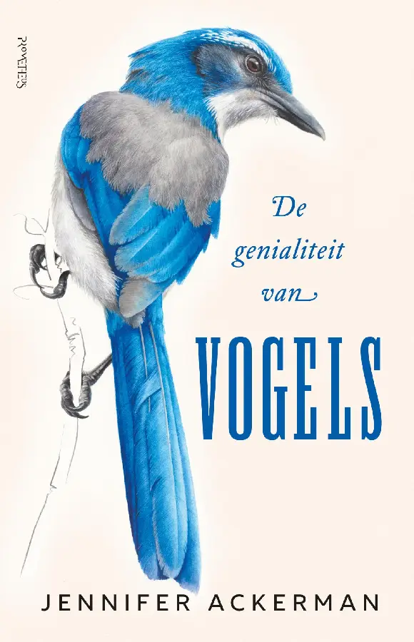 De genialiteit van vogels