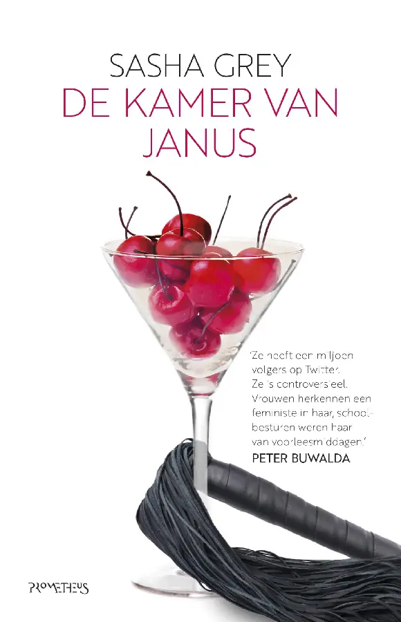 De kamer van Janus