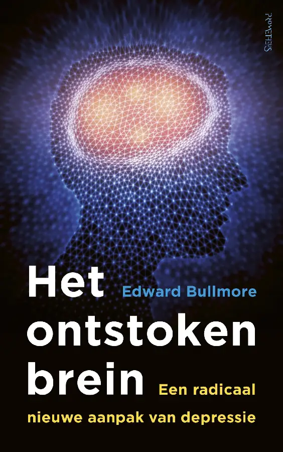 Ontstoken brein