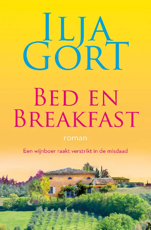 Bed en breakfast: roman