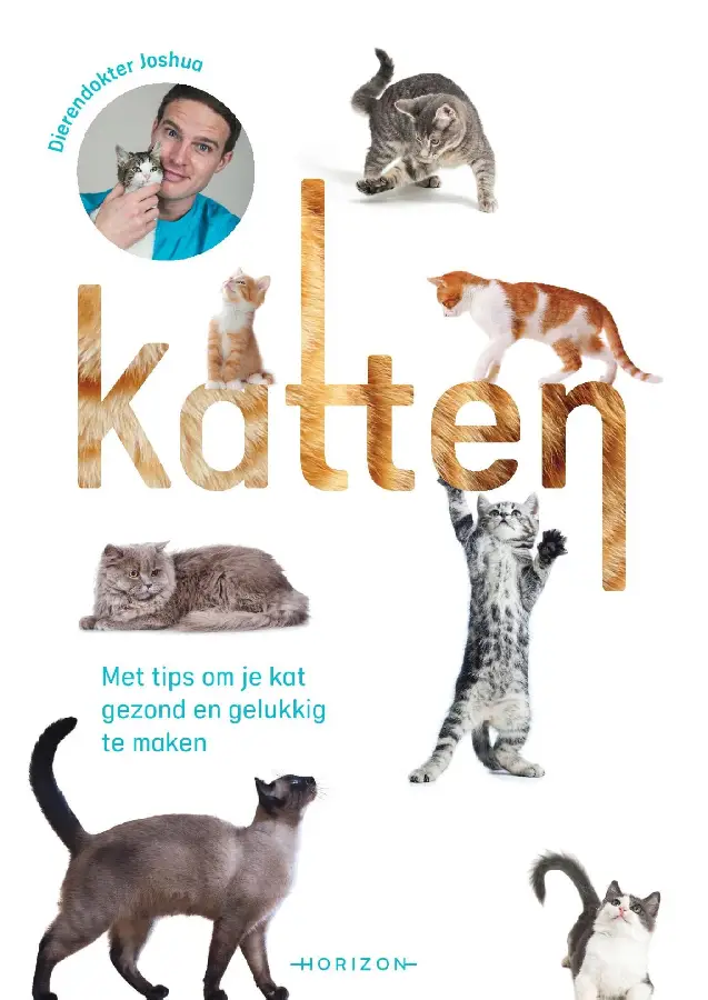 Katten