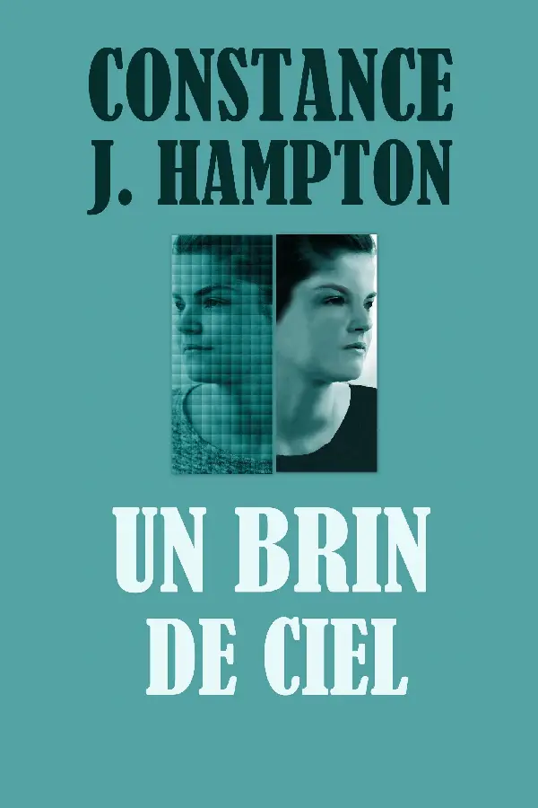 Un Brin de Ciel