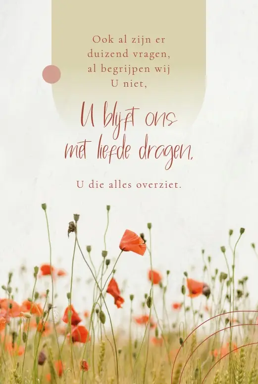 U die alles overziet