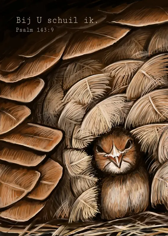 Poster A5 Bij U schuil ik