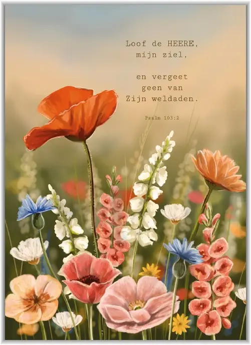 Poster A4 Loof den HEERE, mijn ziel