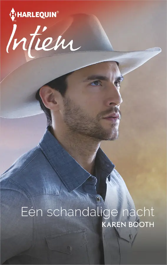 Eén schandalige nacht