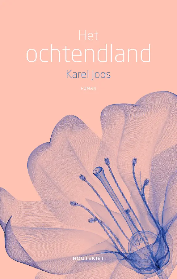 Het ochtendland