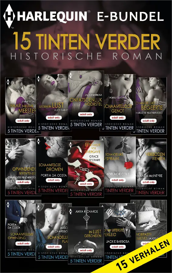 15 Tinten verder historische roman (15-i