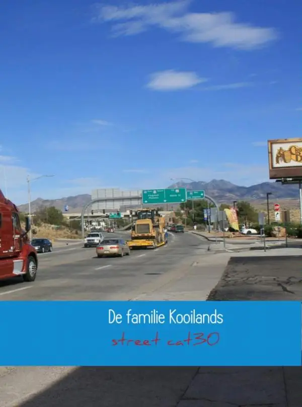 De familie Kooilands