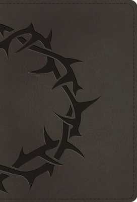 ESV - Large Print Compact Bible