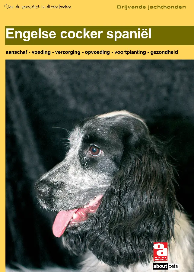 Engelse Cocker Spaniel