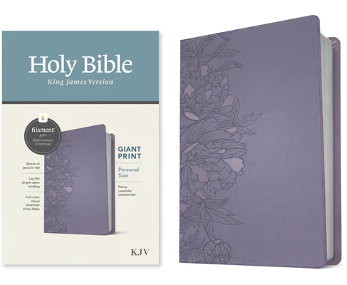 Personal Size Giant Print Bible