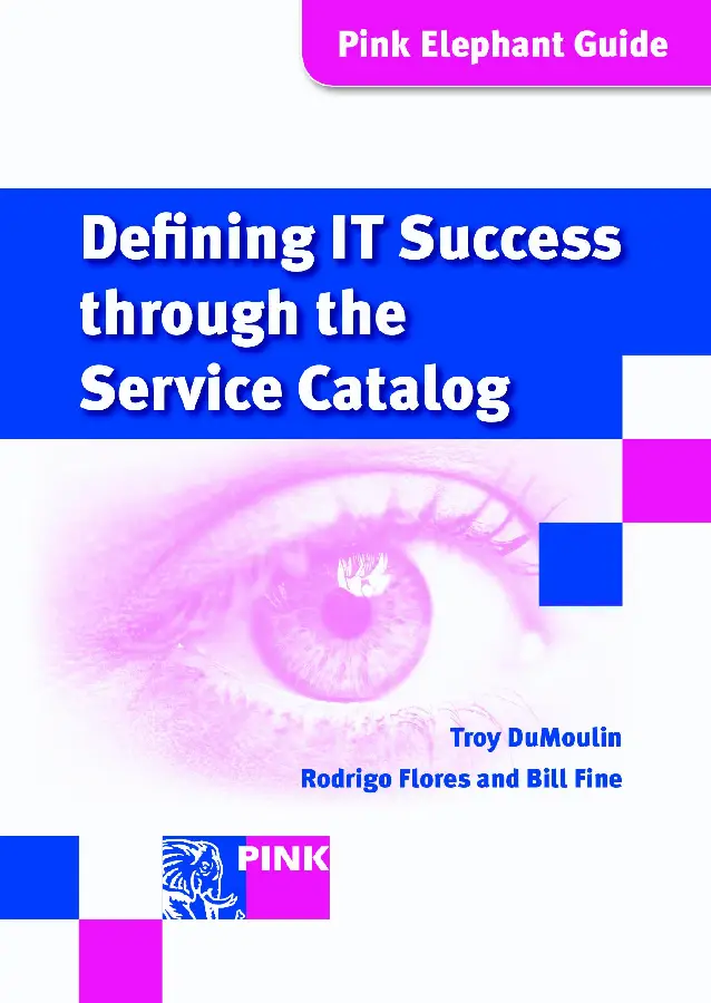 Defining IT success through the service