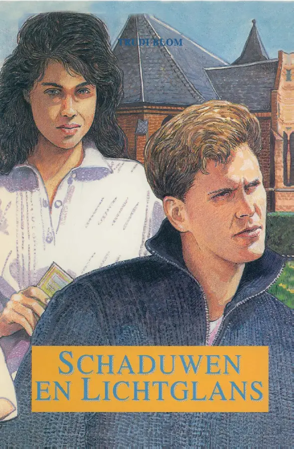 Schaduwen en lichtglans