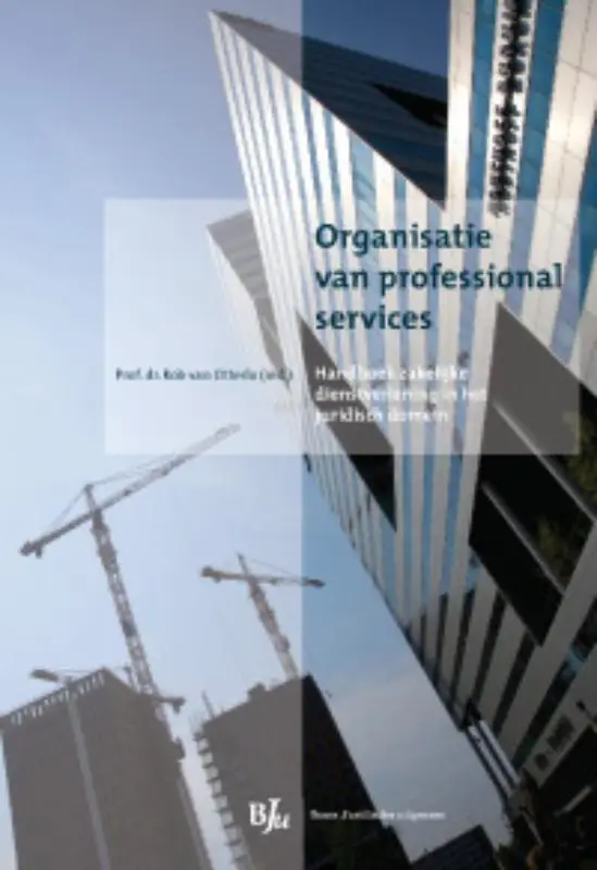 Organisatie van professional services