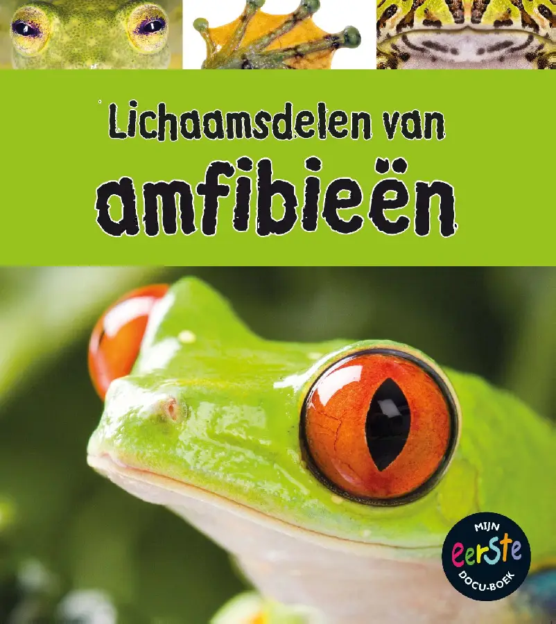 Amfibieën onder de loep