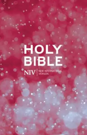 NIV - Thinline Bible - Red