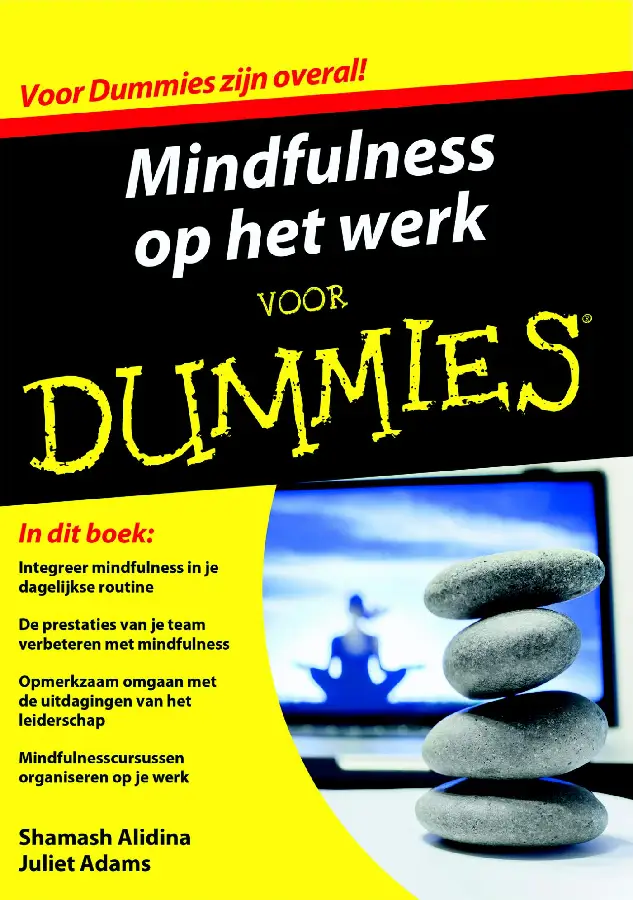 Mindfulness op het werk voor Dummies