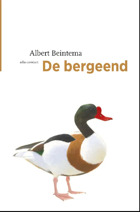 De bergeend