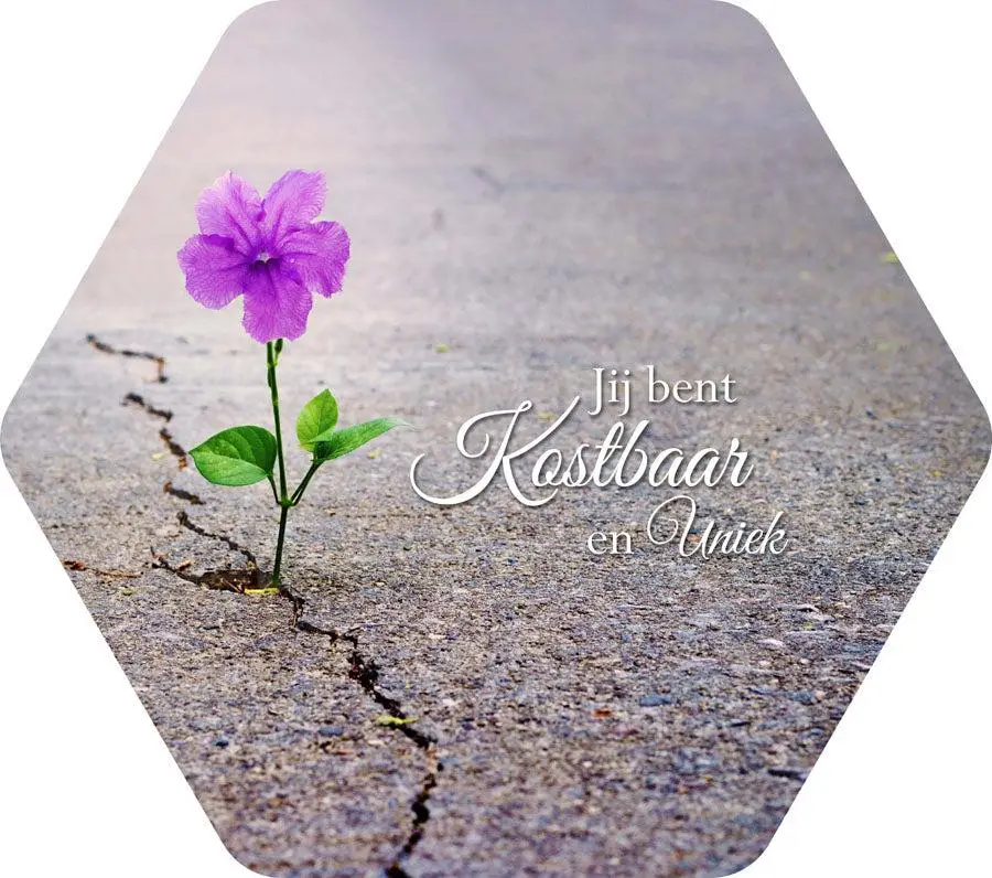Jij bent kostbaar en uniek