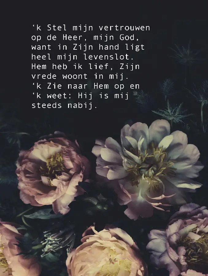 Wenskaart k Stel mijn vertrouwen