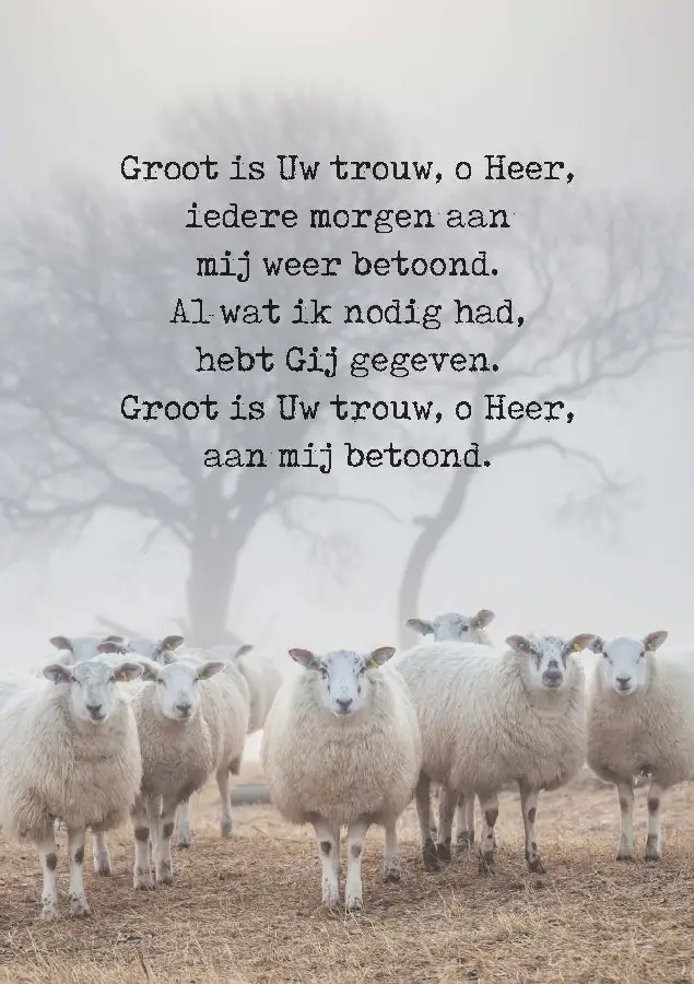 Wenskaart Groot is uw trouw o Heer