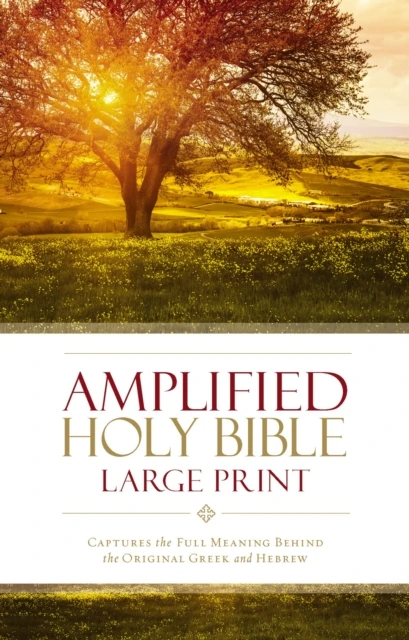 Amplified Holy Bible - Thinline - Lareg