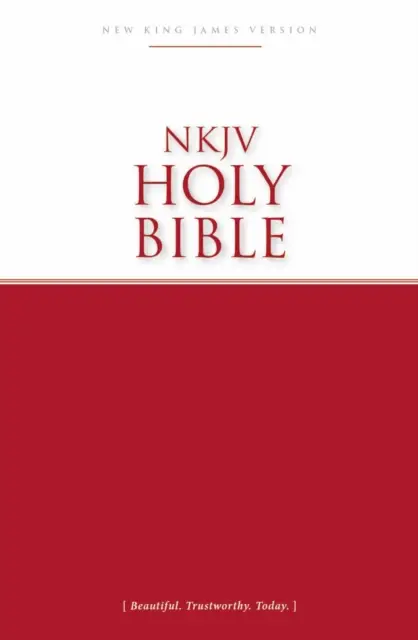 Ecomomy Bible - Red SC