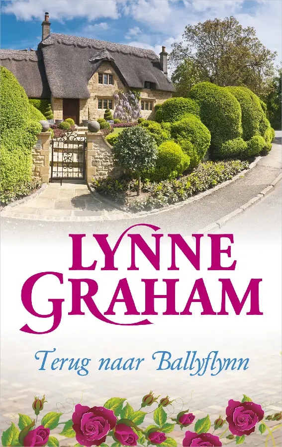 Terug naar Ballyflynn