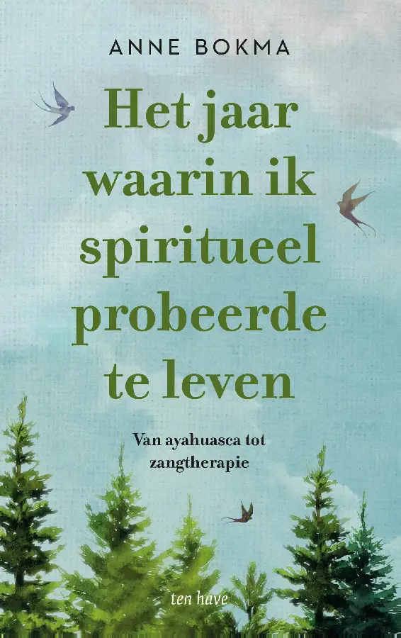 Het jaar waarin ik spiritueel probeerde